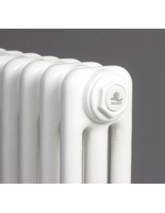 Radiador Tesi 3 de 3 columnas de Irsap altura 300 mm 2